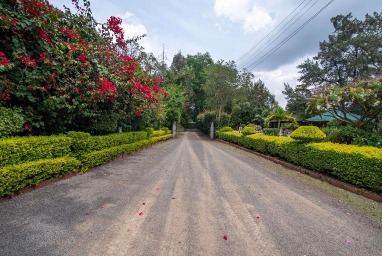 Hotel Troy Nairobi Dış mekan fotoğraf